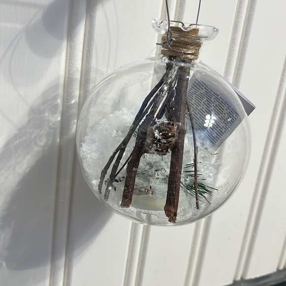 Anthropologie Terrain LED Nature Bauble Ornament NWT